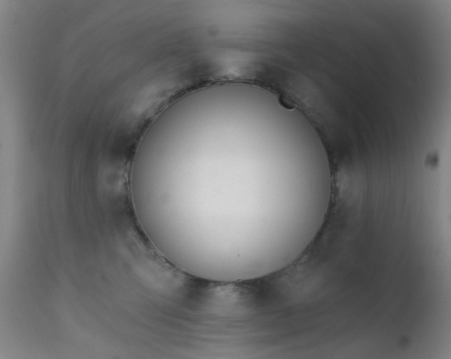 X0000111380423200907171227