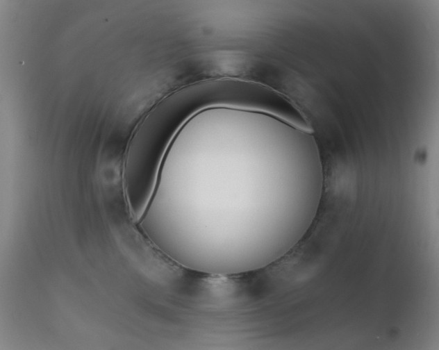 X0000111380425200907171227