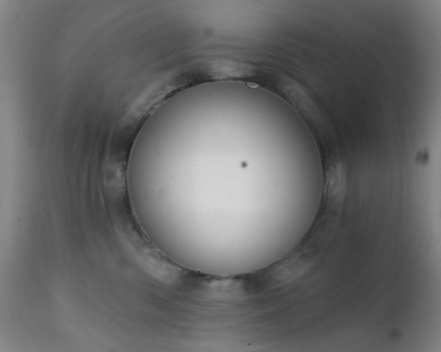 X0000111380426200907171227