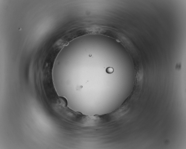 X0000111380429200907171227