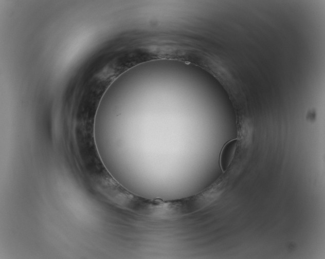 X0000111380430200907171227