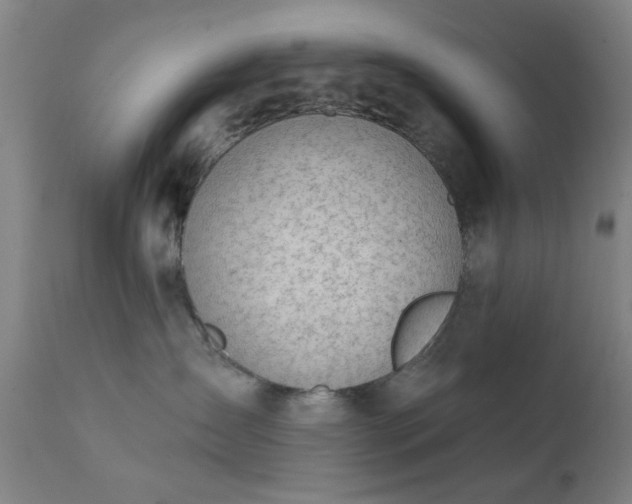 X0000111380431200907171227