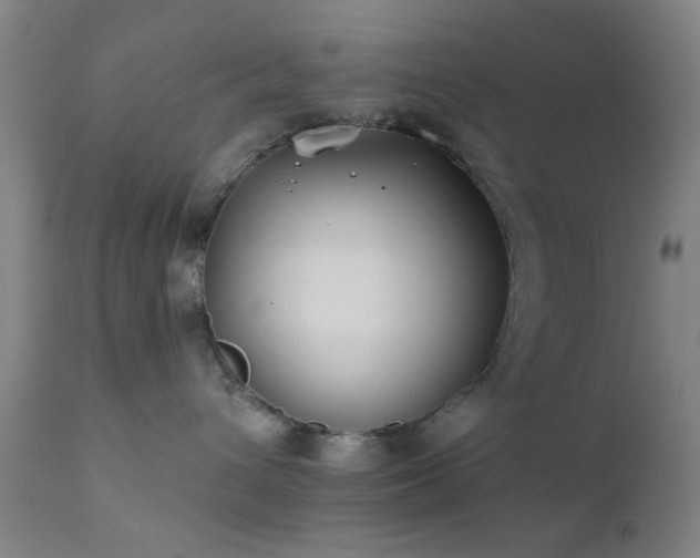 X0000111380432200907171227