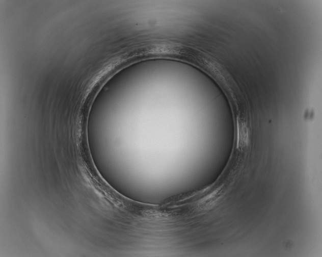 X0000111380435200907171226