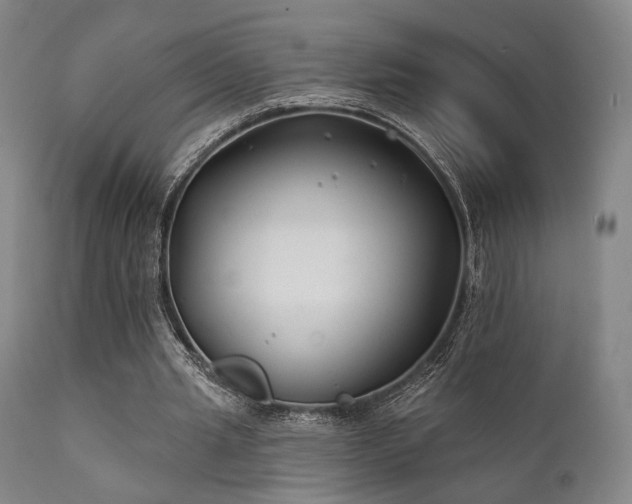 X0000111380437200907171226