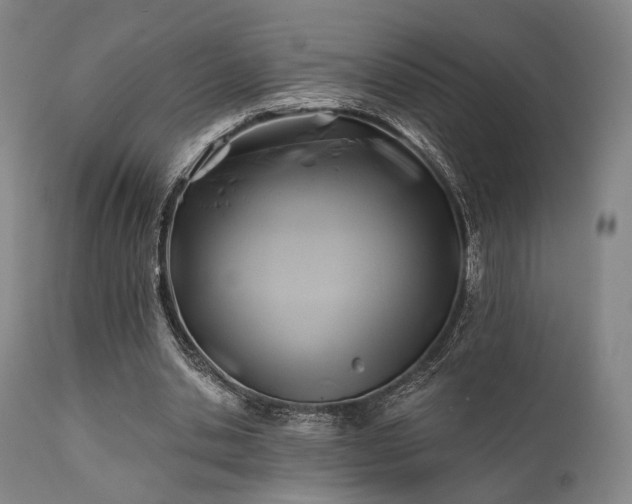 X0000111380438200907171226