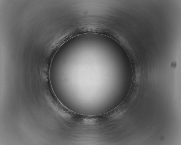 X0000111380450200907171226