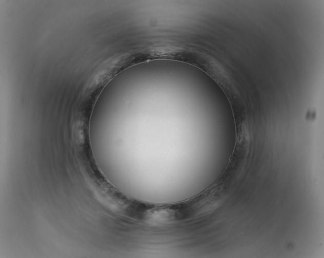 X0000111380452200907171226