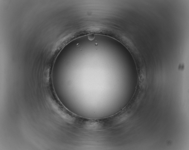 X0000111380454200907171226