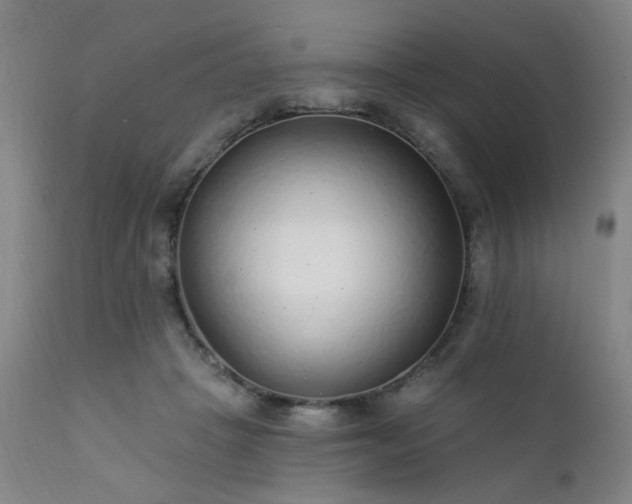 X0000111380457200907171226