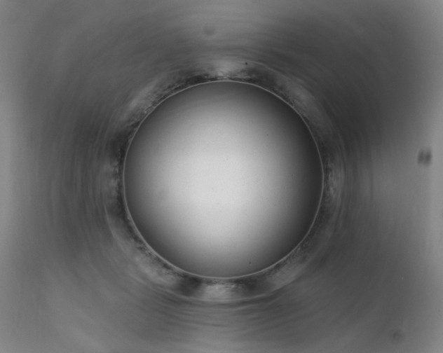 X0000111380461200907171226