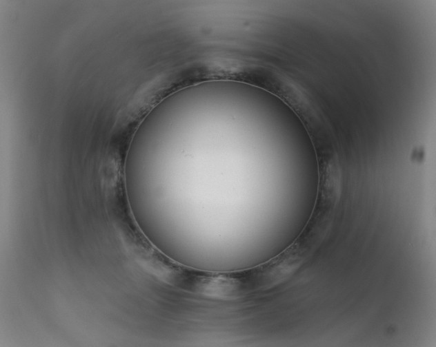 X0000111380463200907171226