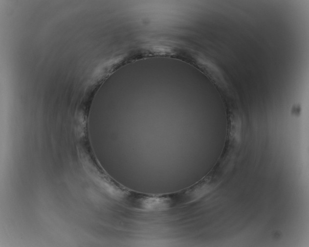 X0000111380465200907171226