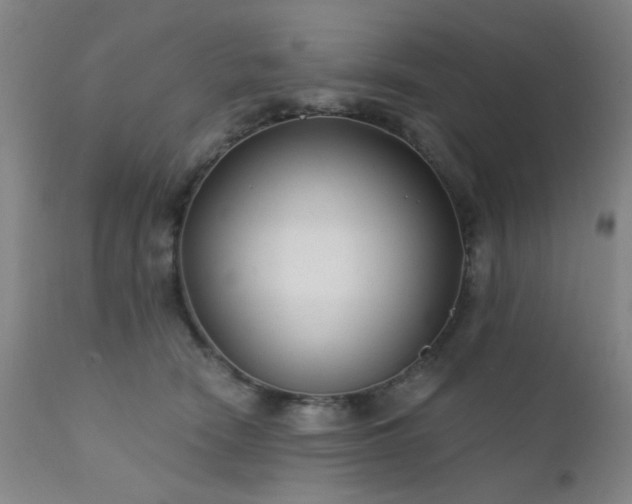 X0000111380466200907171226