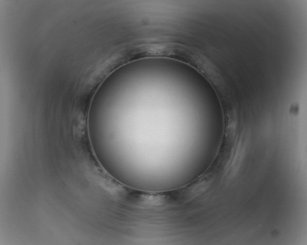 X0000111380469200907171226