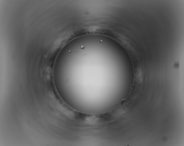 X0000111380470200907171226