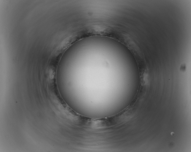 X0000111380472200907171226