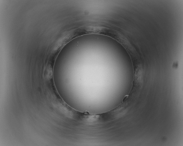 X0000111380474200907171227