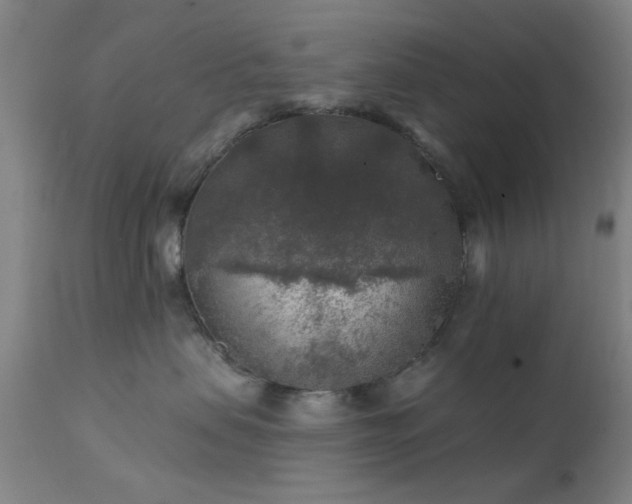 X0000111380479200907171227