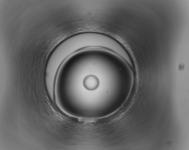 X0000111380481200907171226