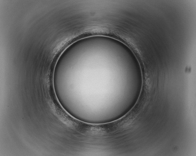 X0000111380487200907171226