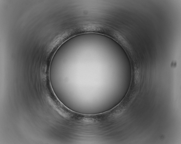 X0000111380490200907171226