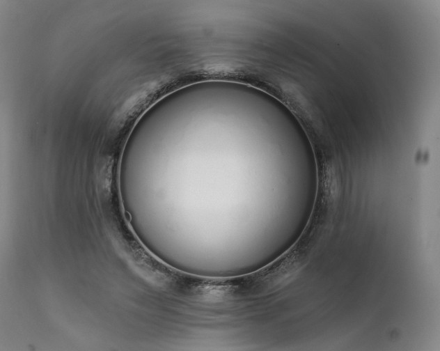 X0000111380495200907171226