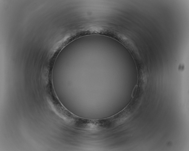 X0000111380496200907171226