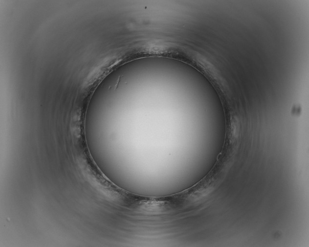 X0000111380497200907171226