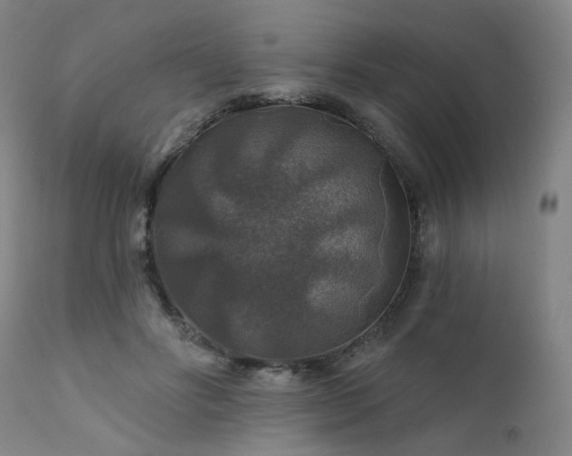 X0000111380502200907171226