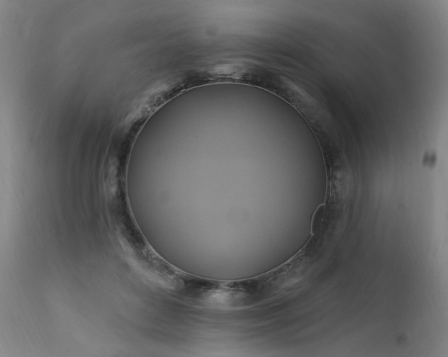 X0000111380504200907171226