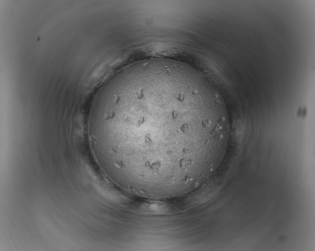 X0000111380506200907171226