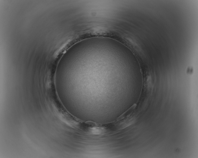 X0000111380508200907171226