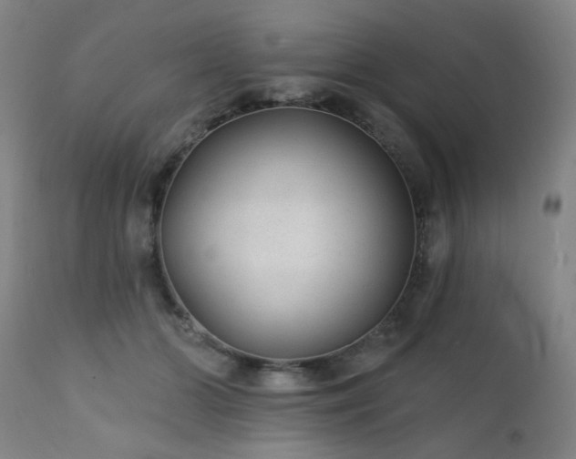 X0000111380510200907171226