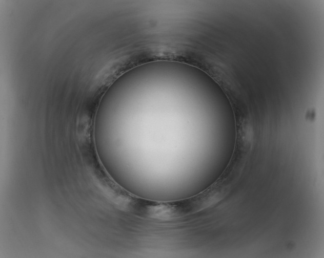 X0000111380511200907171226