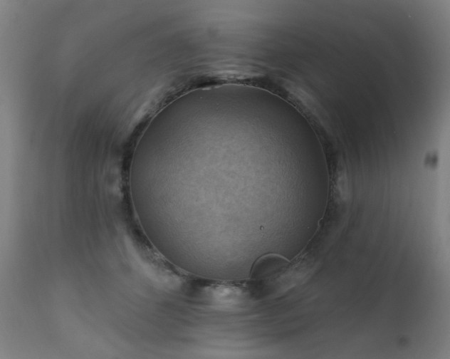 X0000111380512200907171226