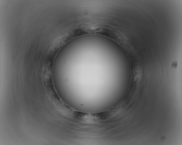 X0000111380515200907171225