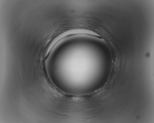 X0000111380520200907171225