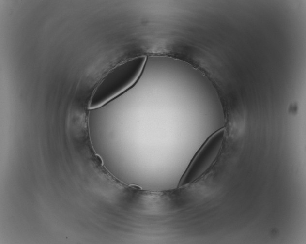 X0000111380521200907171225