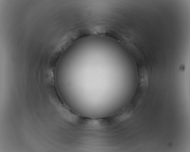 X0000111380523200907171225