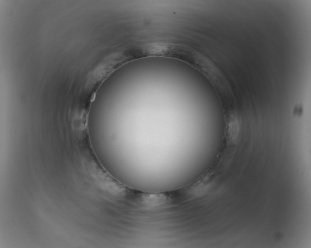 X0000111380525200907171225