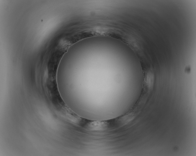 X0000111380526200907171225