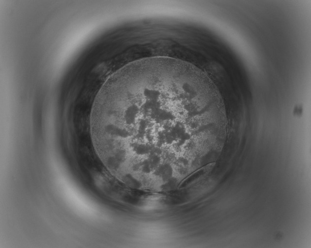 X0000111380527200907171225