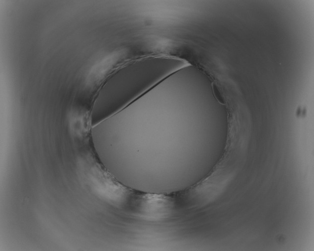 X0000111380528200907171225