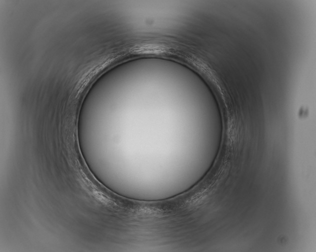 X0000111380529200907171224