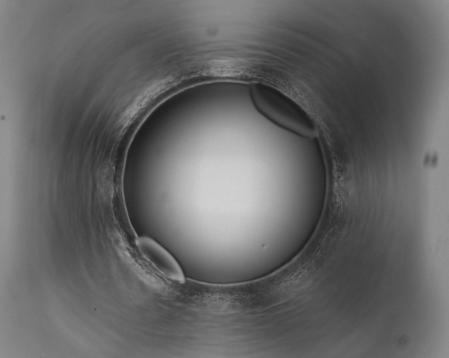 X0000111380530200907171224