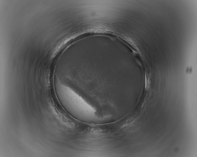 X0000111380531200907171224