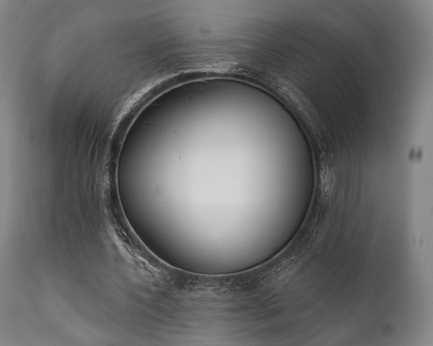 X0000111380532200907171225