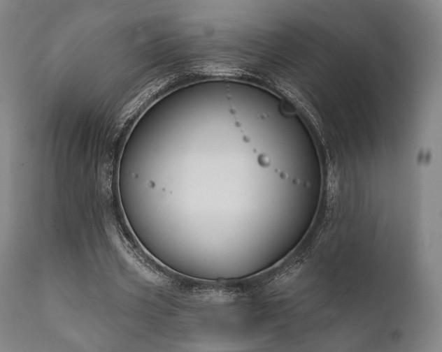 X0000111380533200907171225