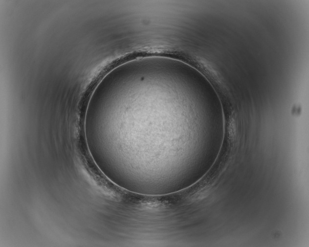 X0000111380540200907171225